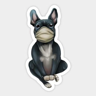 Dog breed French Bulldog in a Mask. Doctor Sticker